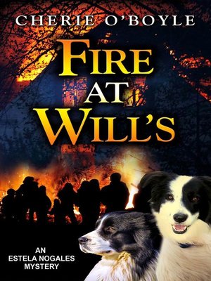 cover image of Fire at Will's